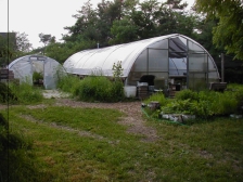 Native Plant Nursery greenhouses