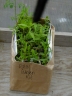 garden kit